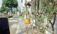 紫微斗数武曲星2017年11月爱情运势