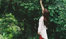 宋韶光2017年生肖牛整体运程