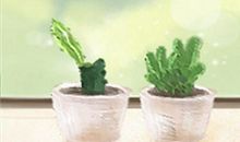 金牛女如何做一个好老婆