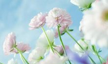 洁安生命灵数一周运势（10.22-10.28）