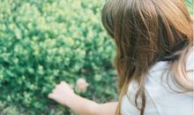 Annemilk占星2016年2月处女座运势