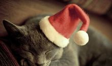 Annemilk占星2016年2月天蝎座运势