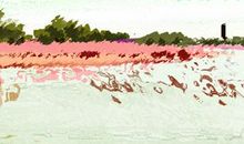 揭秘嫁给处女男的幸福指数