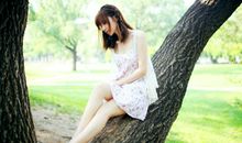 宋韶光2017年生肖鸡整体运程