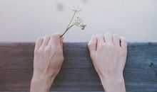 星宿12星座2015年3月运势