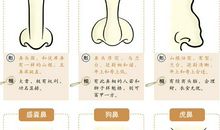 鼻子面相：鼻子看运势