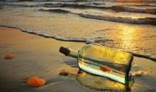 宋韶光2017年生肖狗整体运程