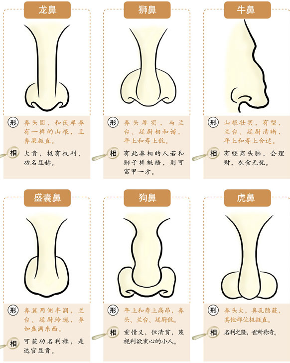 鼻子脸：看鼻子的运势1