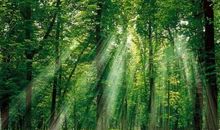 天蝎座健康秘诀