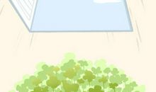 生日性格：2月15日出生的人