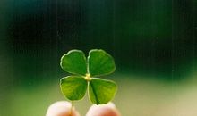 艾菲尔2017年12月星座运势