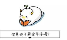 教你如何面对生气时的金牛座