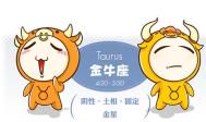 适合金牛座的工作类型