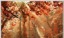 紫微斗数论人的财运情况