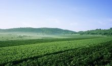 斗数断盘如何繁中取简