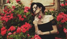 洁安2017年生命灵数运势