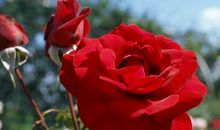 Alex双子座一周运势（3.5-3.11）