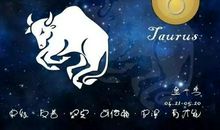 金牛座对哪个星座最来电？