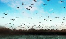 天蝎座男人为什么弄丢真爱