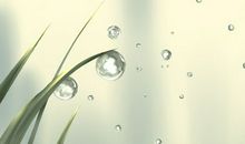 处女女准妈妈需要怎样的关怀