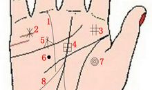 手相算命图解：手相中的财富纹