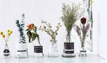 如何挽回金牛座的心？