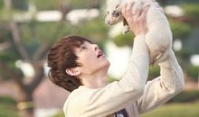 塔罗12星座每周运势2013.11.26-12.2