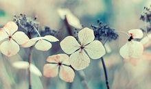 Eskey双鱼座2018年4月运势