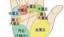 手相掌丘饱满有大福气