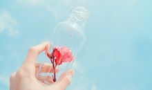 Annemilk占星2017年12月星座运势