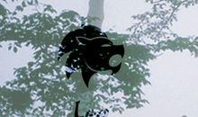 Alex狮子座2017年12月运势