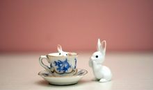 海百合2013年六月星座运势