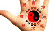 面相图解：面相看夏天谁运势好