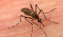 中秋夜向魔羯座求欢妙招