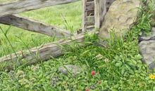 小乖麻根登卓玛2013年9月白羊座运势