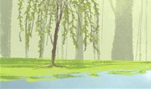 盘点处女座最爱看的综艺节目