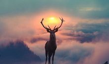 洁安生命灵数一周运势（7.9-7.15）