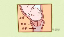 婚神星在魔羯座或第10宫