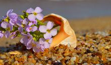 洁安2018年8月份生命灵数运势