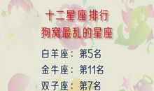 金牛座狗窝混乱指数