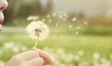 小乖麻根登卓玛2012年12月摩羯座运势