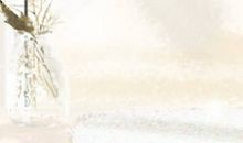 金牛座情人节送花手册