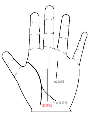 手相术算命图表：哪种手相术者更擅长换工作1