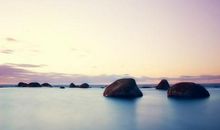 分析2014年全年运势--双子座