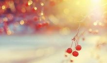 分析2014年全年运势--狮子座