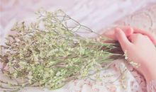 Eskey:天蝎座一周运势（5.7-5.13）