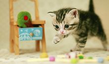 寂多蔓生2017年10月天蝎座运势