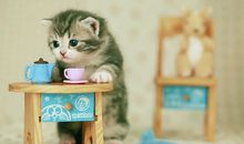 寂多蔓生2017年10月天秤座运势