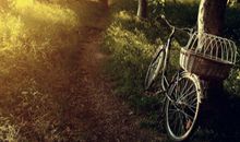 寂多蔓生2017年10月双子座运势