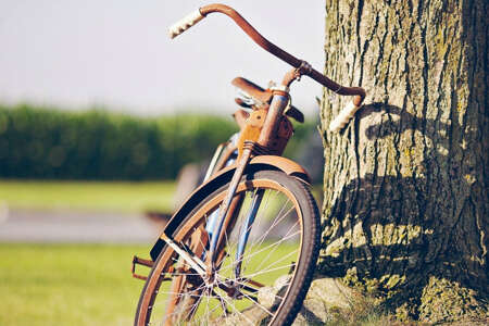 2017年10月金牛星座